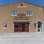 Gort Mart.jpeg